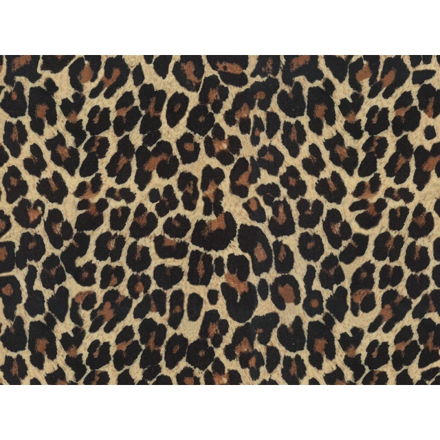 Dekorativne blazine, okrasne blazine gepard 50x50cm