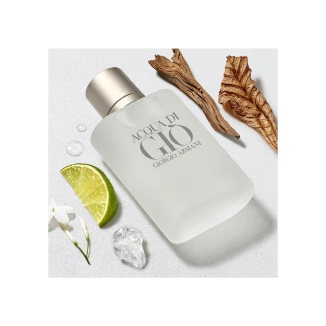 ARMANI moški parfumi Acqua Di Gio Pour Homme 100ml edt