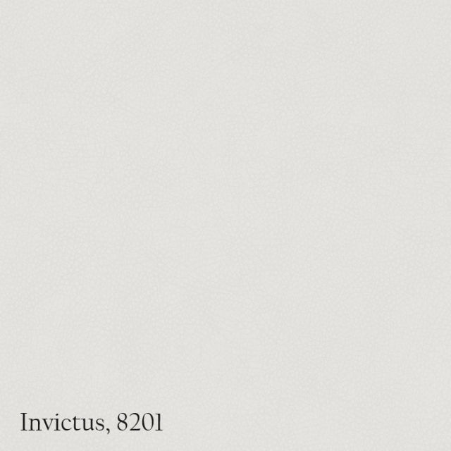 Umetno usnje Invictus