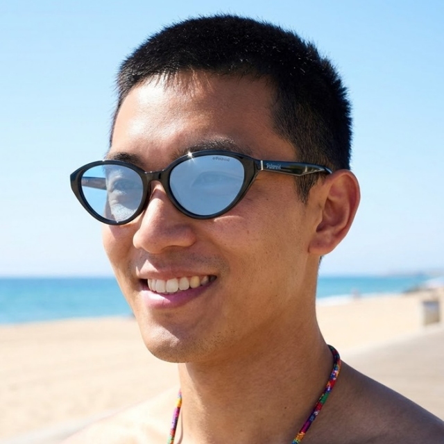 POLAROID sončna očala PLD 6109, polarizirana