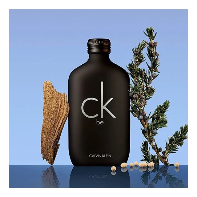 CALVIN KLEIN moški parfumi Ck Be 100ml edt