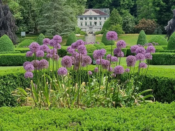 Zakaj obiskati Arboretum?