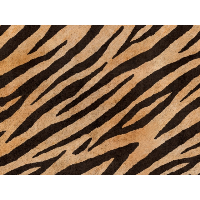 Dekorativne blazine, okrasne blazine tiger 45x45cm